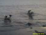 PICT0029.JPG