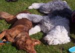 bear and corrie.jpg