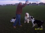 whos gonna get the ball.jpg