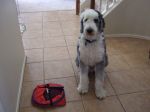 2007_0413crate0340.jpg