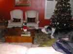 DSCN0741.JPG