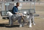 Darcy with the furballs.jpg