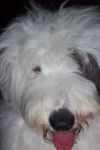 LUCY 1.jpg