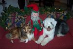 MAX & LUCY ~ CHRISTMAS 2006 036.jpg