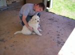 Boomer n Penny hanging outside 008.jpg