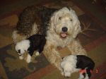 Miracle Babies 059.jpg