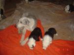 Miracle Babies 066.jpg