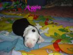 Miracle Babies girls 007.jpg