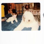 2Baby_pix_@_6_mos.[1].jpg