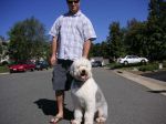 Barney sitting on the walk.jpg