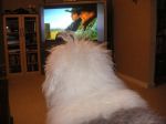 Barney watching Superbowl commercials.jpg