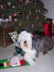 Maggie and christmas.jpg