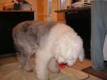 PICT0047.JPG