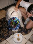 PICT0102.JPG