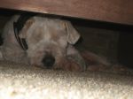 dec 09 052.jpg