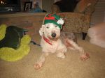 dec 09 096.jpg
