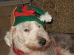 dec 09 097.jpg