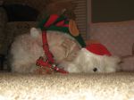 dec 09 105.jpg