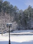 front yard in snow.jpg