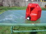 Dog wash 002.jpg