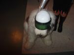 Halloween 05 005.jpg