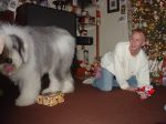 Mojo Christmas 05 003.jpg