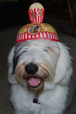 Popcorn Hat