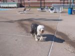 09-06-06 Webster Pool 001.jpg