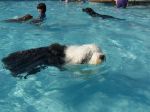 09-06-06 Webster Pool 018.jpg