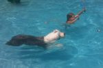 100_0007.JPG