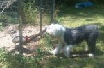 100_0015.JPG
