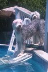 100_0020.JPG