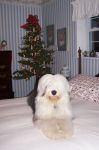 100_2543.jpg