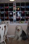 100_2549e.jpg