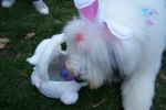 100_3528.jpg
