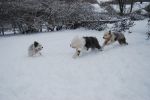 2008-01-27 011.jpg