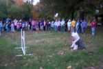 2009-10-23 006.jpg