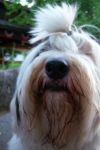 2010-08-05 g.jpg