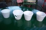 2010-08-05 i.jpg