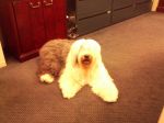 2012-06-22 h.jpg