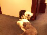 2013-07-05 002.jpg