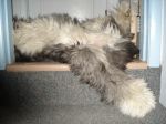 DSC00663.JPG