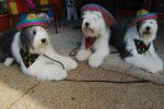 DSC_0014~4.JPG