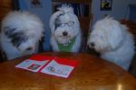 DSC_0021~5.JPG