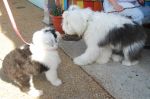 DSC_0024~4.JPG