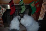 DSC_0035~4.JPG