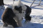 DSC_0065~1.JPG