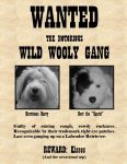 Wild Wooly - Wanted Poster.JPG