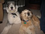 Feb 13 2007 036.jpg