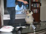 Hendrix at 25 weeks.jpg